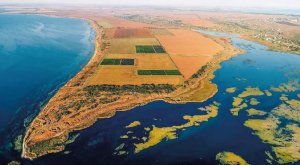 Сімейна виноробня Château Kurin